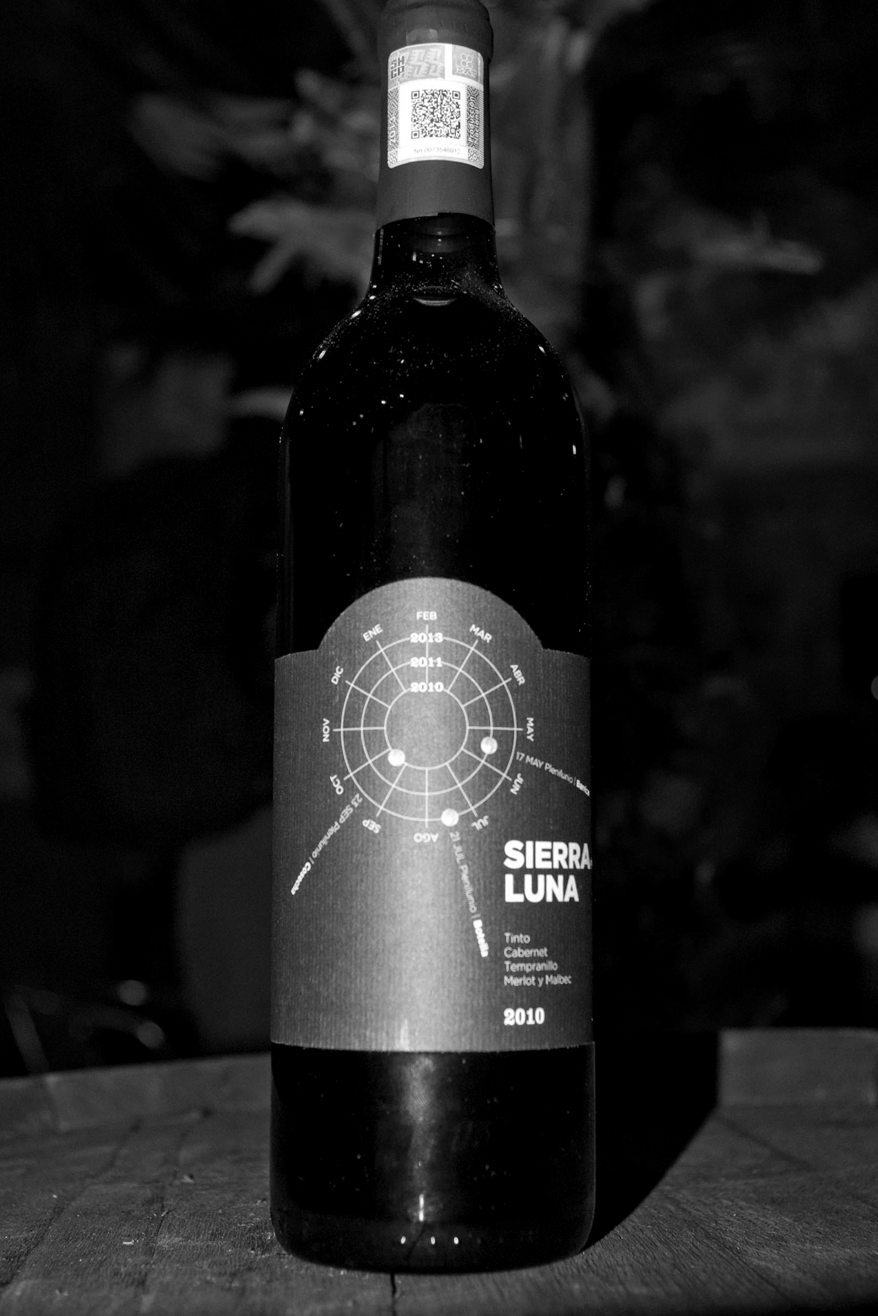 Presentacion del Vino Sierra de Luna